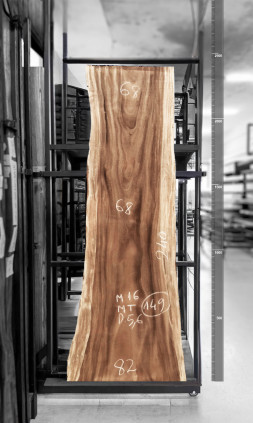 Raintree Wood Table Top 2.4m - MT149 Raintree Wood Table Top 2.4m - MT149