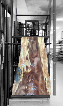 Raintree Wood Table Top 1.8m - MT166 Raintree Wood Table Top 1.8m - MT166