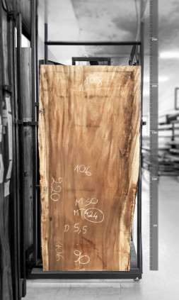 Raintree Wood Table Top 2.2m - MT424 Raintree Wood Table Top 2.2m - MT424