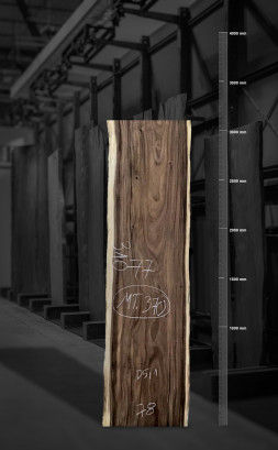 Raintree Wood Table Top 3.1m - MT370